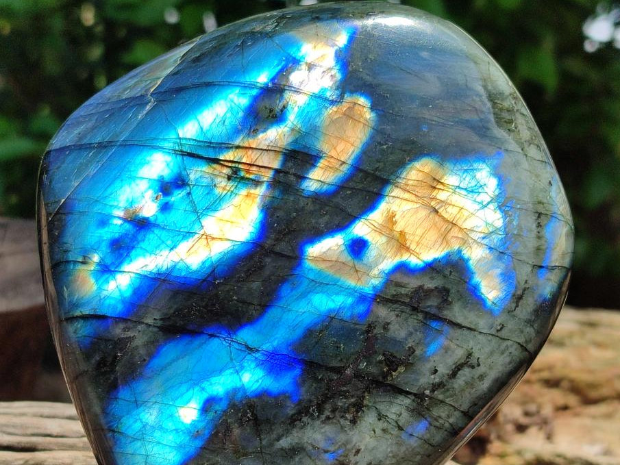 Polished Labradorite Standing Free Form x 1 From Tulear, Madagascar