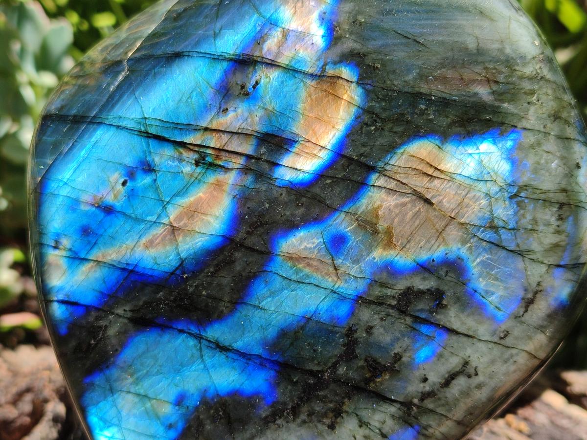 Polished Labradorite Standing Free Form x 1 From Tulear, Madagascar