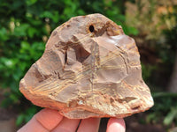 Natural Nguni Jasper Cobbed Specimens x 12 From Northern Cape, South Africa