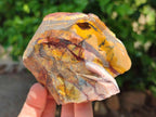 Natural Nguni Jasper Cobbed Specimens x 12 From Northern Cape, South Africa