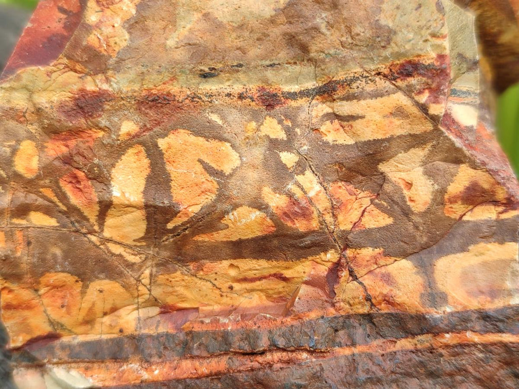 Natural Nguni Jasper Cobbed Specimens x 12 From Northern Cape, South Africa