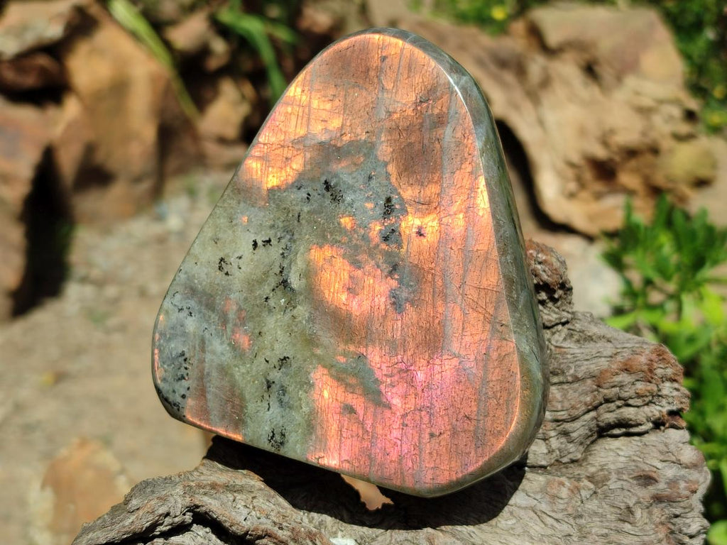 Polished Labradorite Standing Free Forms x 3 From Tulear, Madagascar