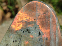 Polished Labradorite Standing Free Forms x 3 From Tulear, Madagascar