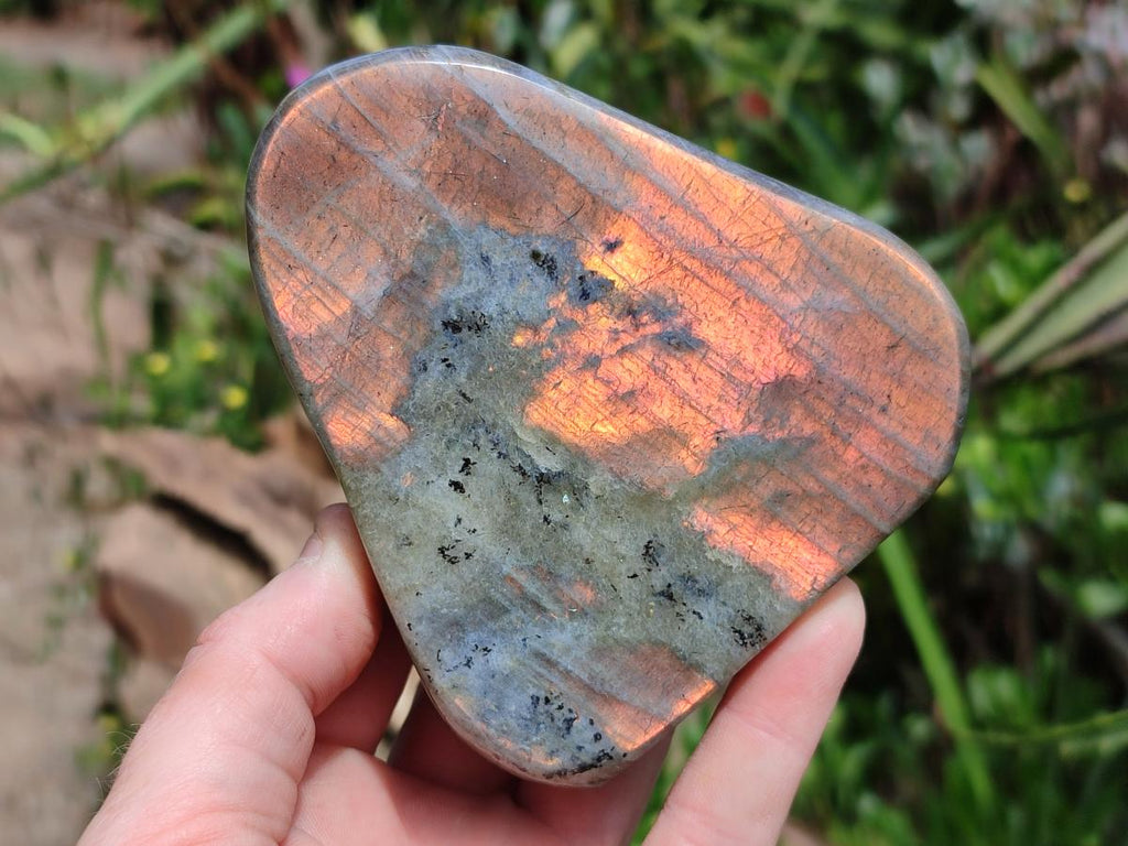 Polished Labradorite Standing Free Forms x 3 From Tulear, Madagascar