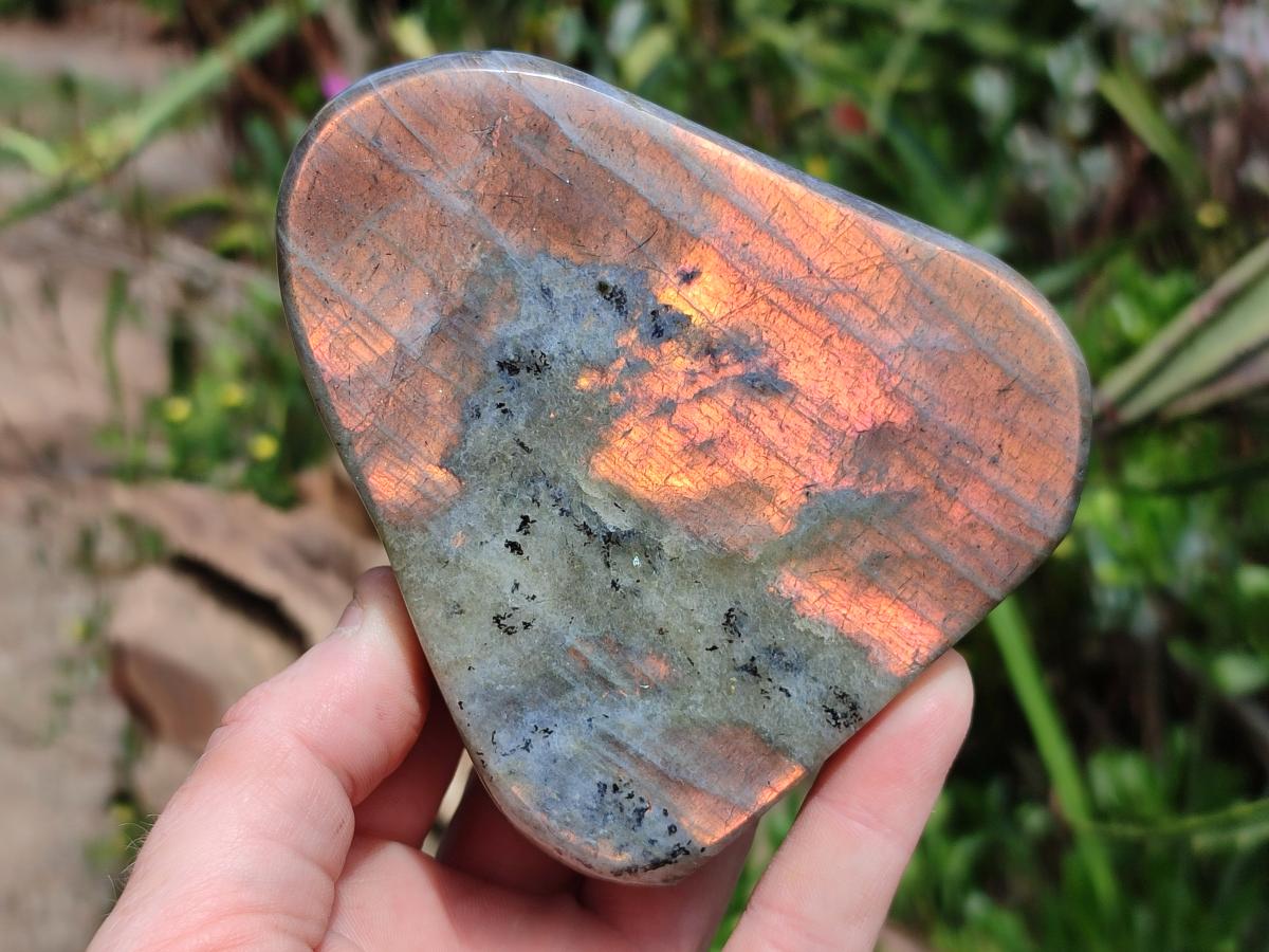 Polished Labradorite Standing Free Forms x 3 From Tulear, Madagascar
