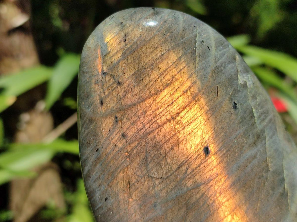 Polished Labradorite Standing Free Forms x 3 From Tulear, Madagascar