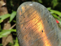 Polished Labradorite Standing Free Forms x 3 From Tulear, Madagascar