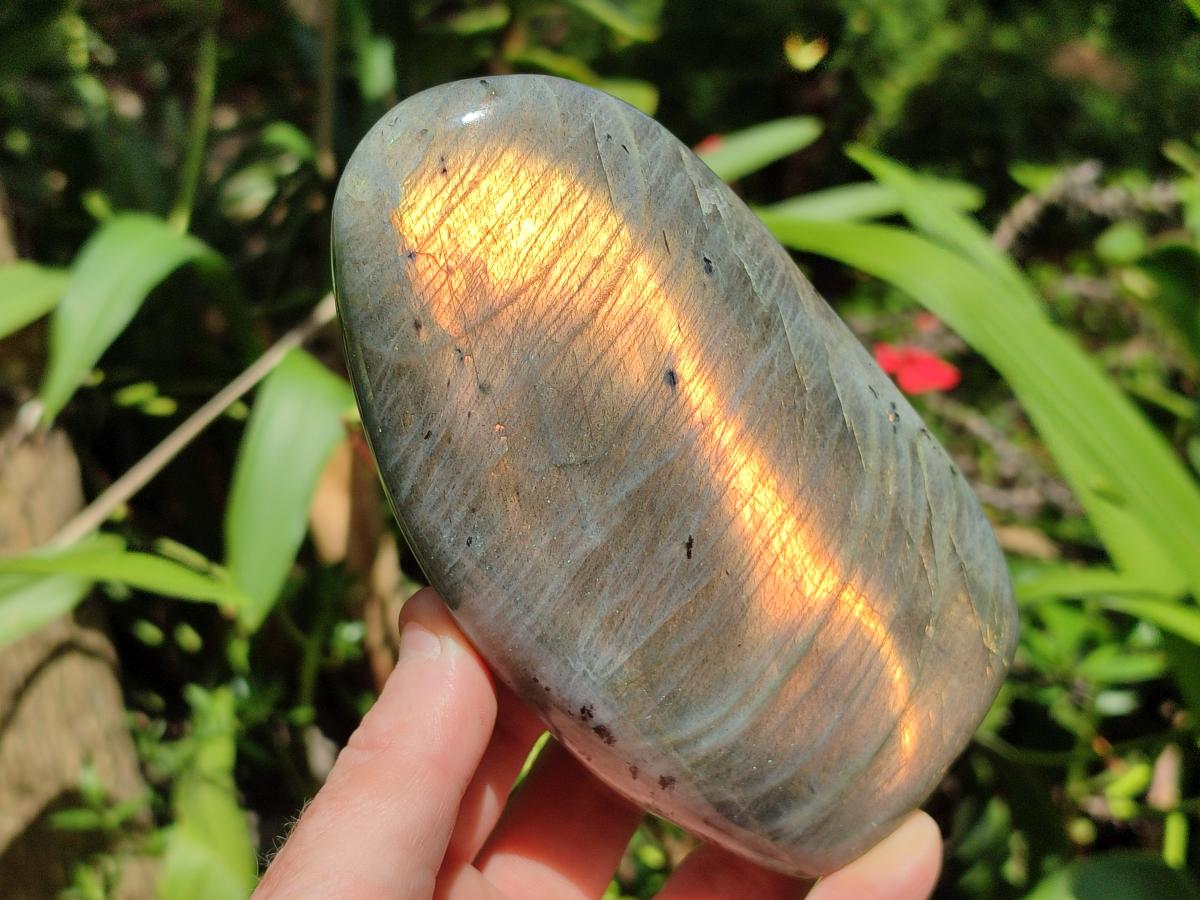 Polished Labradorite Standing Free Forms x 3 From Tulear, Madagascar