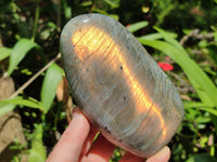 Polished Labradorite Standing Free Forms x 3 From Tulear, Madagascar