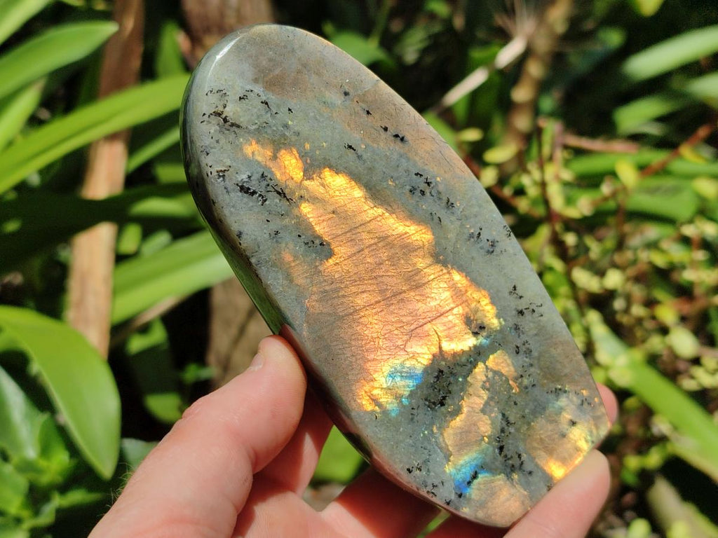 Polished Labradorite Standing Free Forms x 3 From Tulear, Madagascar