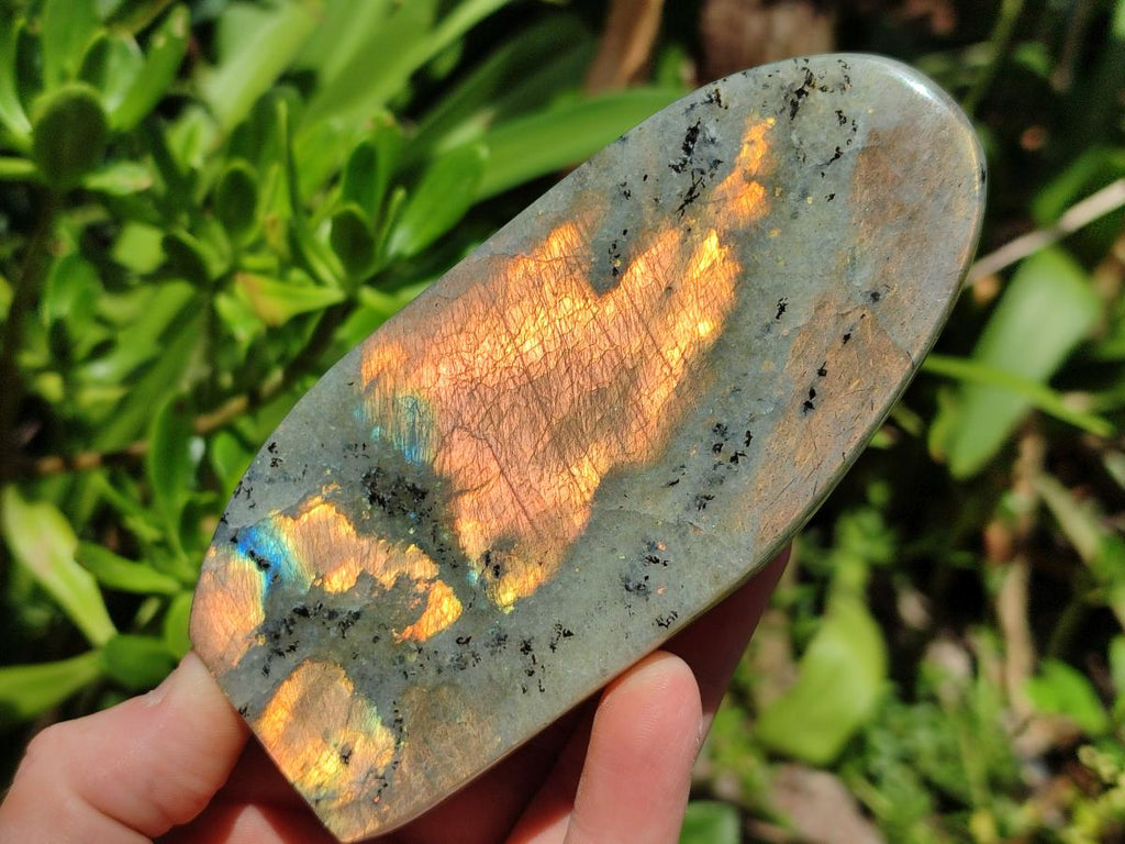 Polished Labradorite Standing Free Forms x 3 From Tulear, Madagascar