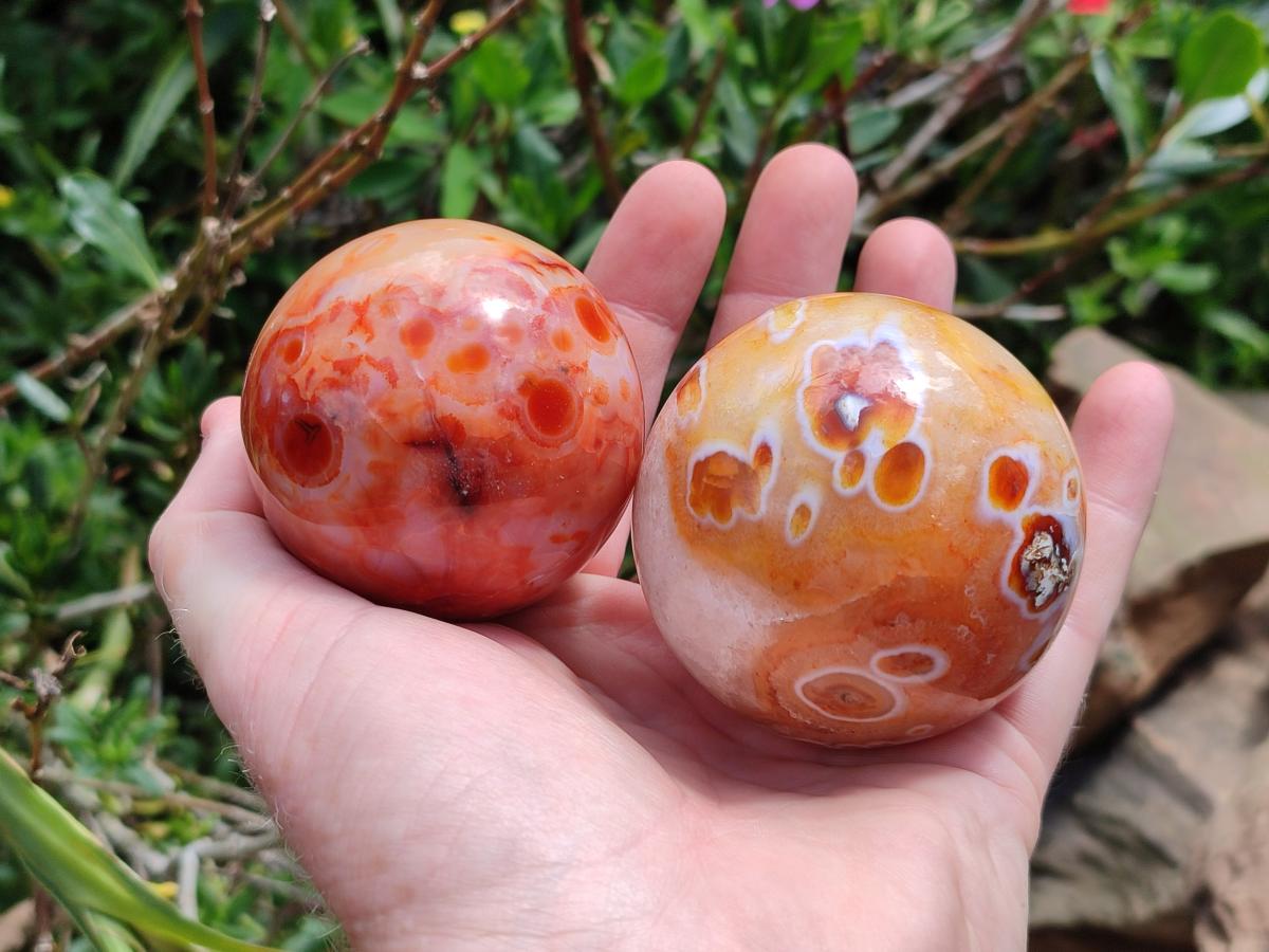 Polished Carnelian Agate Gemstone Spheres x 6 From Madagascar