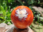 Polished Carnelian Agate Gemstone Spheres x 6 From Madagascar
