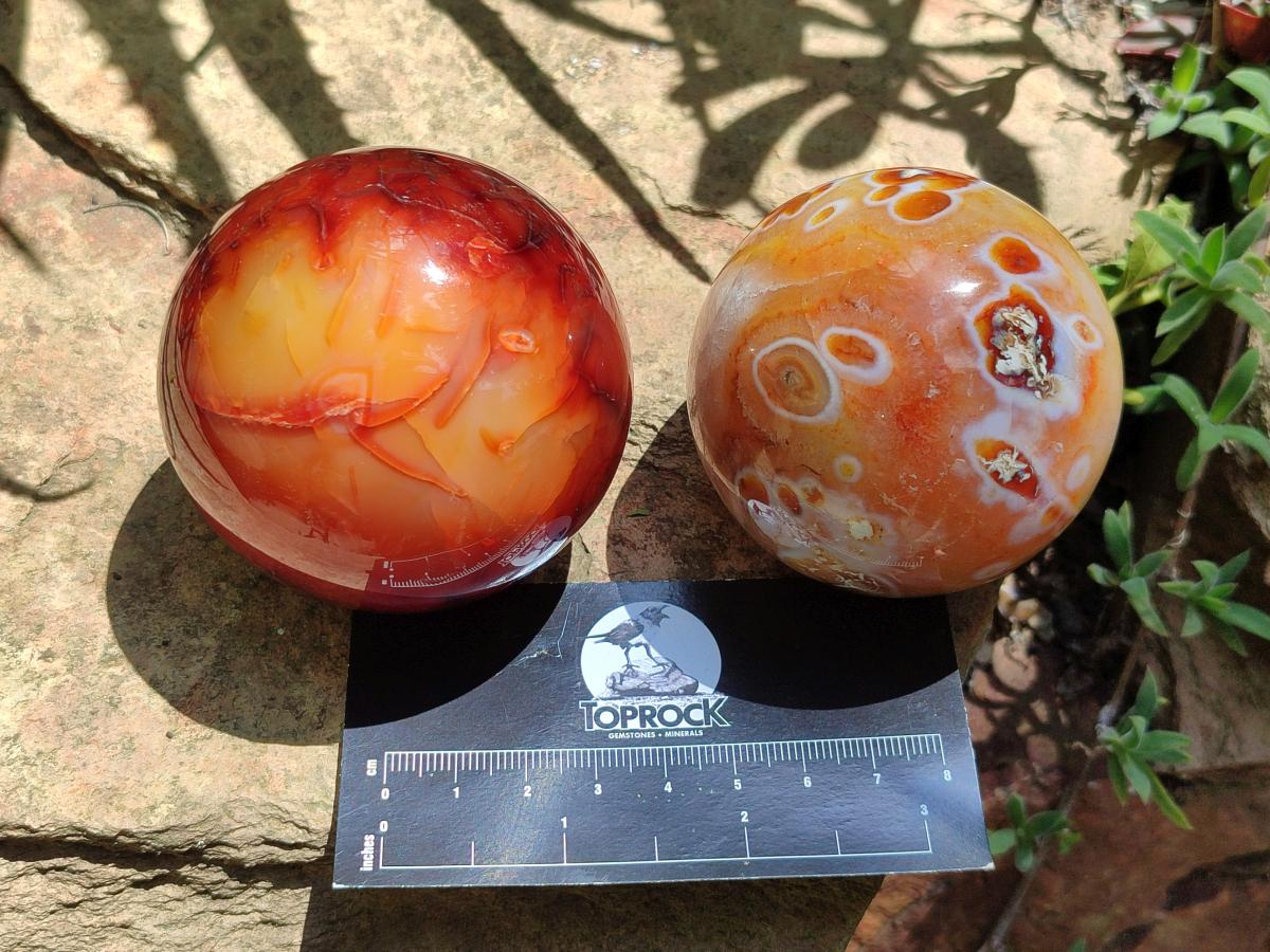 Polished Carnelian Agate Gemstone Spheres x 6 From Madagascar