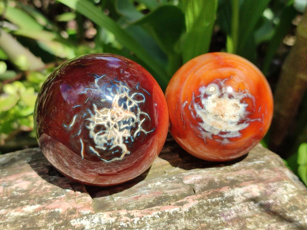 Polished Carnelian Agate Gemstone Spheres x 6 From Madagascar