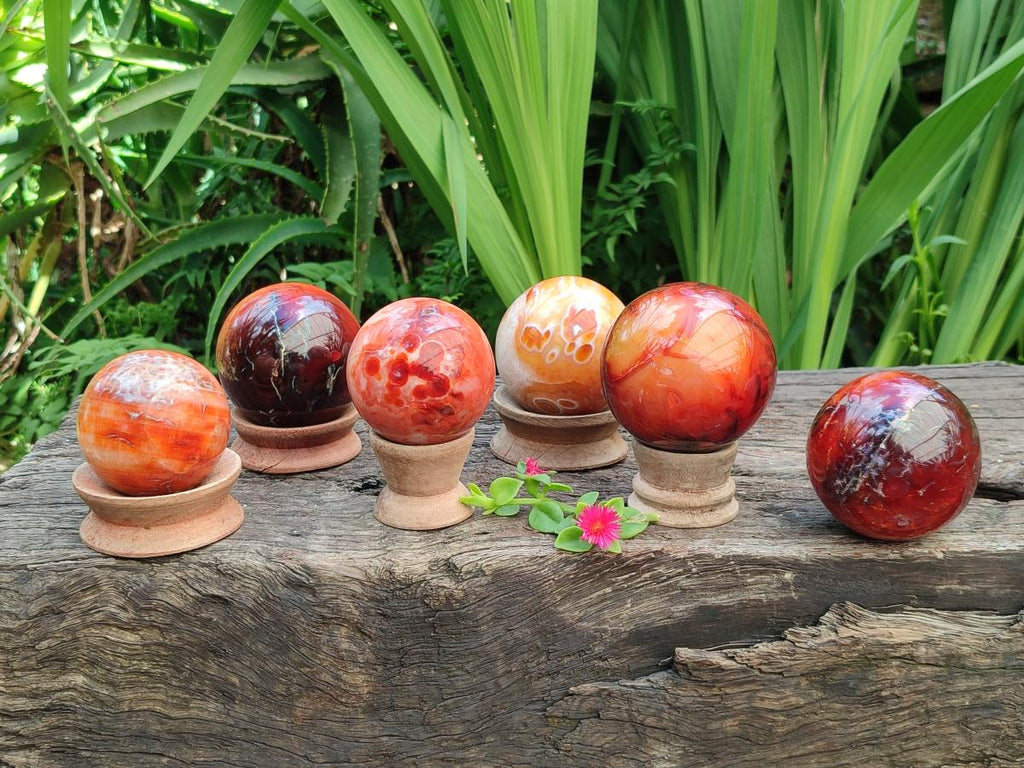 Polished Carnelian Agate Gemstone Spheres x 6 From Madagascar
