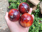Polished Carnelian Agate Gemstone Spheres x 6 From Madagascar