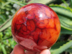 Polished Carnelian Agate Gemstone Spheres x 6 From Madagascar