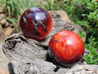 Polished Carnelian Agate Gemstone Spheres x 6 From Madagascar
