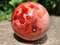 Polished Carnelian Agate Gemstone Spheres x 6 From Madagascar