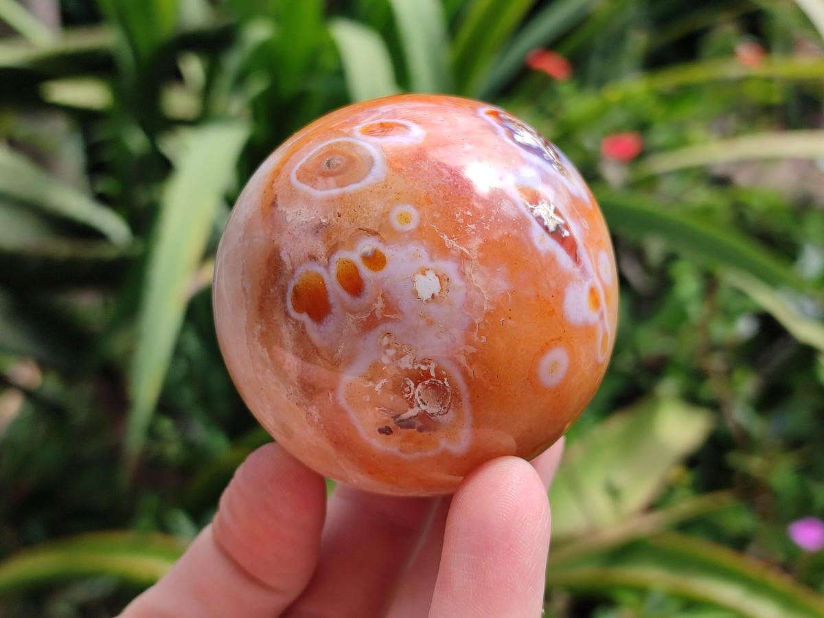 Polished Carnelian Agate Gemstone Spheres x 6 From Madagascar