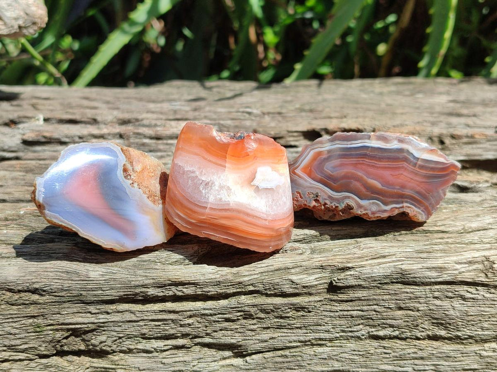 Polished On One Side Red Shashe River Agate Nodules x 35 From Shashe River, Zimbabwe