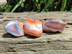 Polished On One Side Red Shashe River Agate Nodules x 35 From Shashe River, Zimbabwe