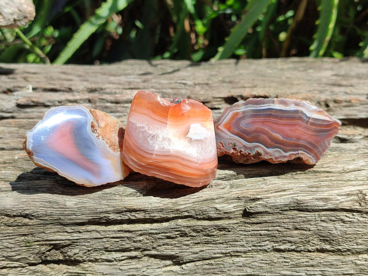 Polished On One Side Red Shashe River Agate Nodules x 35 From Shashe River, Zimbabwe