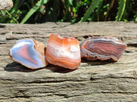 Polished On One Side Red Shashe River Agate Nodules x 35 From Shashe River, Zimbabwe