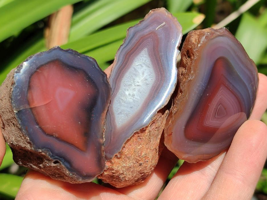 Polished On One Side Red Shashe River Agate Nodules x 35 From Shashe River, Zimbabwe