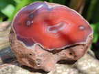 Polished On One Side Red Shashe River Agate Nodules x 35 From Shashe River, Zimbabwe