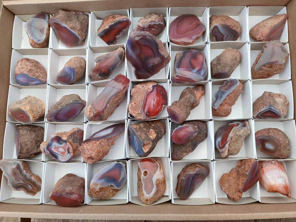 Polished On One Side Red Shashe River Agate Nodules x 35 From Shashe River, Zimbabwe