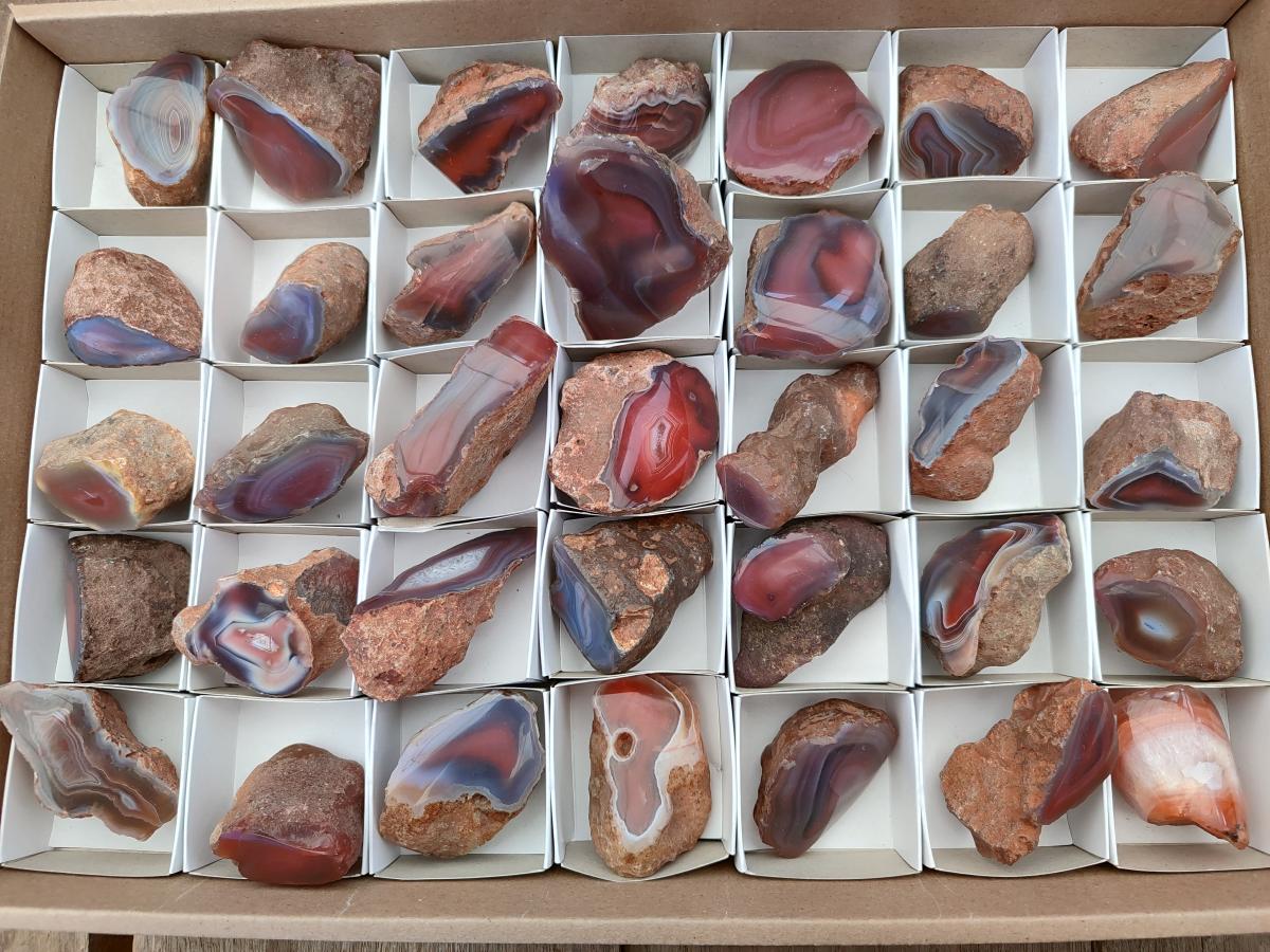 Polished On One Side Red Shashe River Agate Nodules x 35 From Shashe River, Zimbabwe