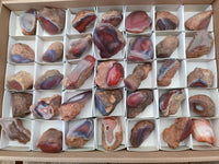 Polished On One Side Red Shashe River Agate Nodules x 35 From Shashe River, Zimbabwe