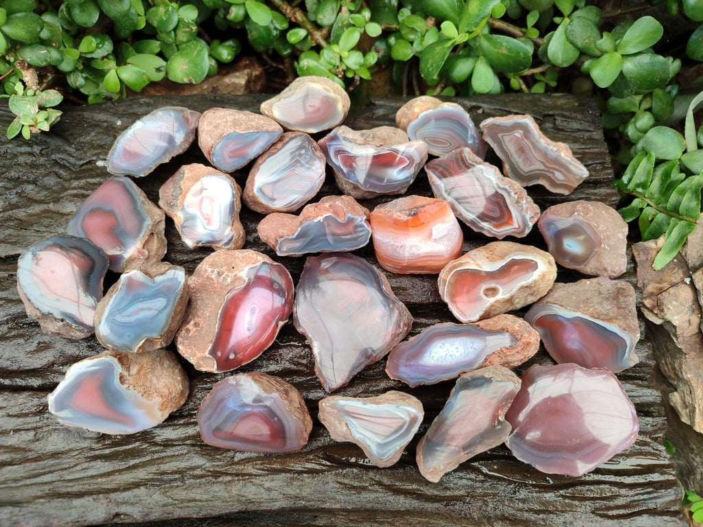 Polished On One Side Red Shashe River Agate Nodules x 35 From Shashe River, Zimbabwe