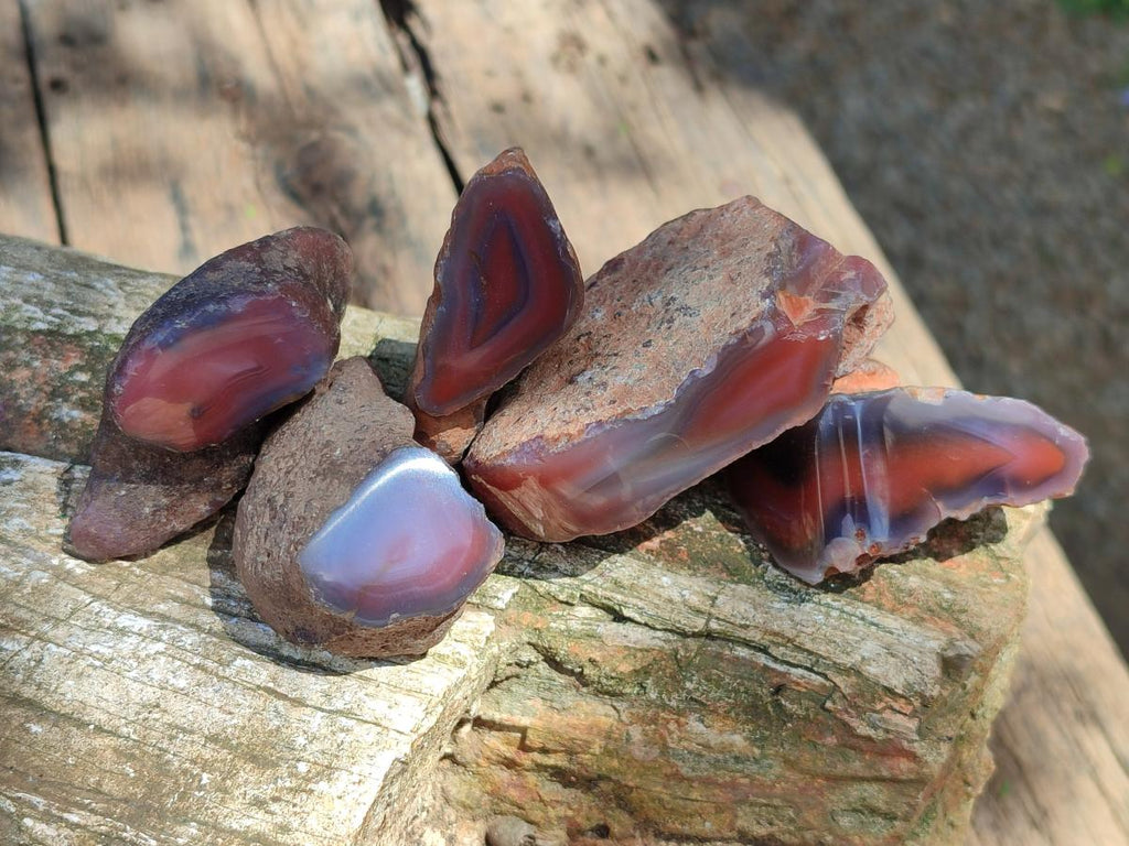Polished On One Side Red Shashe River Agate Nodules x 35 From Shashe River, Zimbabwe