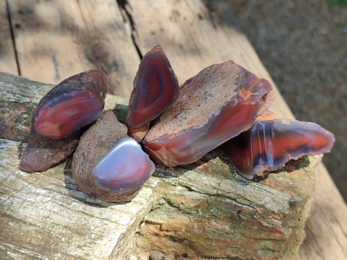Polished On One Side Red Shashe River Agate Nodules x 35 From Shashe River, Zimbabwe