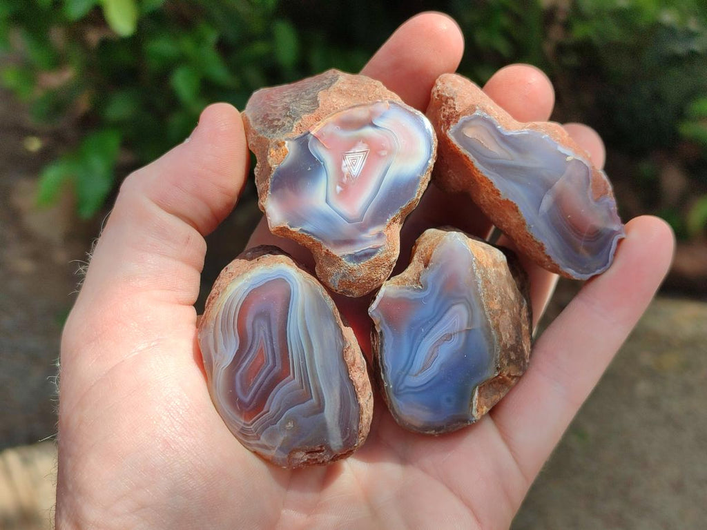 Polished On One Side Red Shashe River Agate Nodules x 35 From Shashe River, Zimbabwe