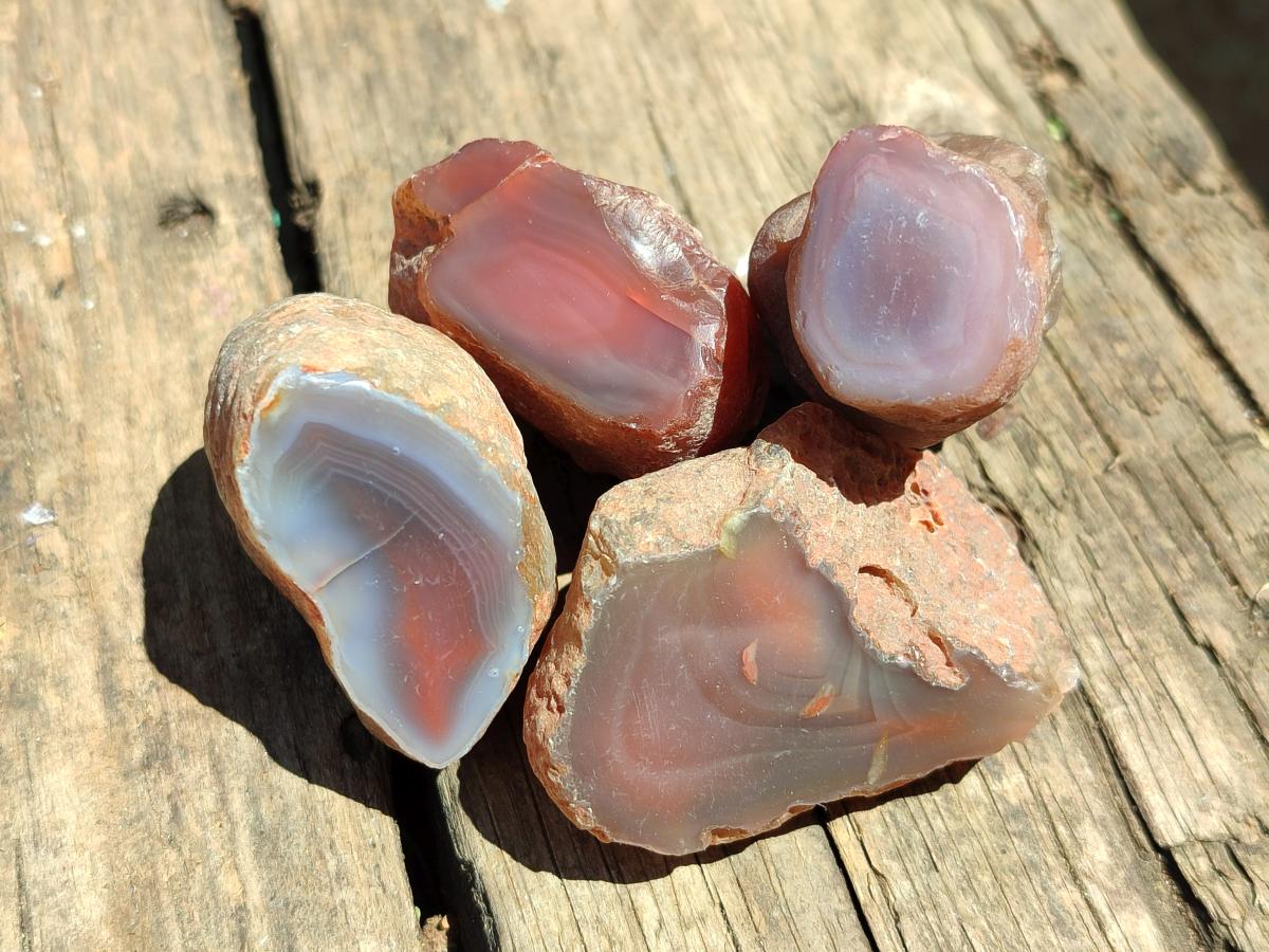 Polished On One Side Red Shashe River Agate Nodules x 35 From Shashe River, Zimbabwe
