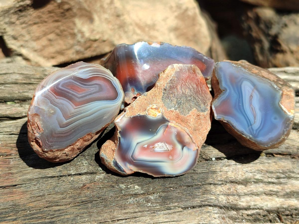 Polished On One Side Red Shashe River Agate Nodules x 35 From Shashe River, Zimbabwe