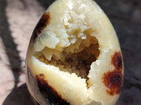 Polished Septerye Eggs x 6 From Mahajanga, Madagascar