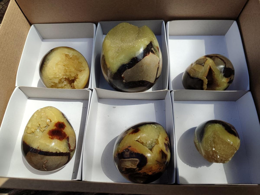 Polished Septerye Eggs x 6 From Mahajanga, Madagascar