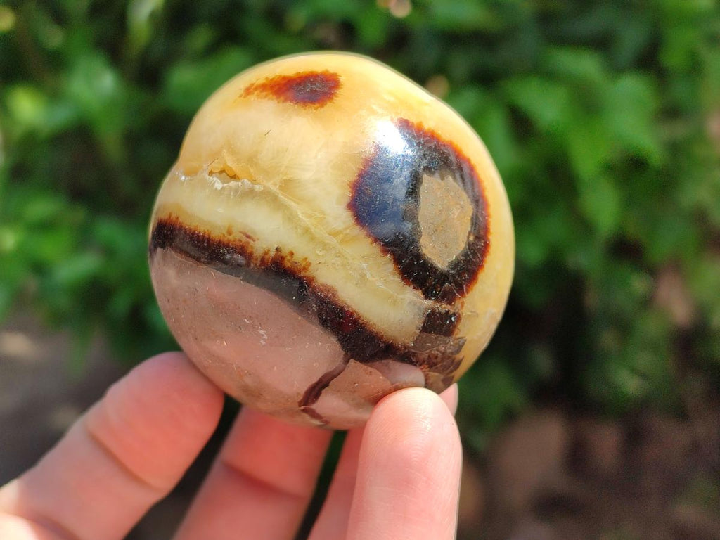 Polished Septerye Eggs x 6 From Mahajanga, Madagascar