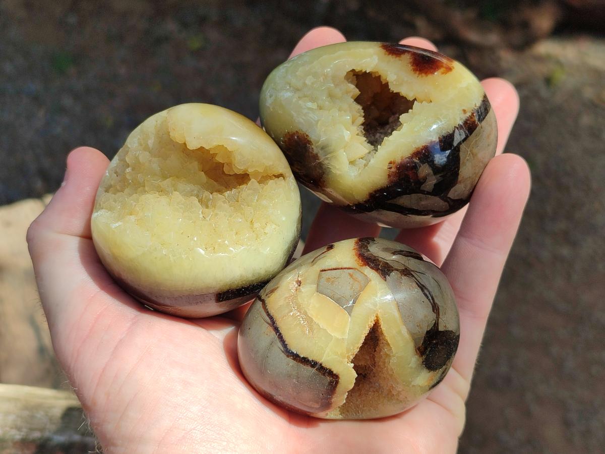 Polished Septerye Eggs x 6 From Mahajanga, Madagascar