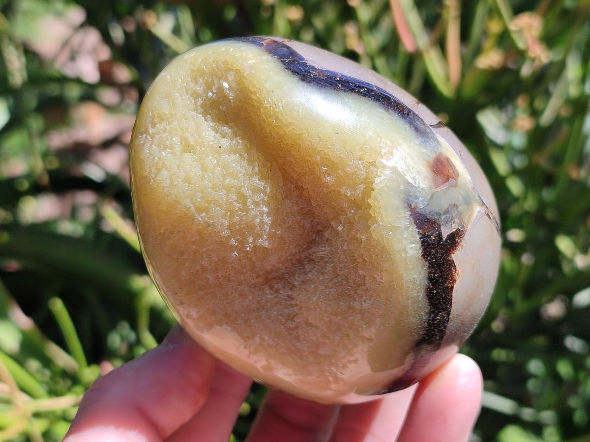 Polished Septerye Eggs x 6 From Mahajanga, Madagascar