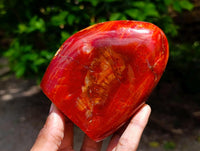 Polished Carnelian Agate Gemstone Standing Free Forms x 2 From Madagascar