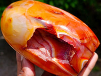 Polished Carnelian Agate Gemstone Standing Free Forms x 2 From Madagascar