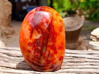 Polished Carnelian Agate Gemstone Standing Free Forms x 2 From Madagascar