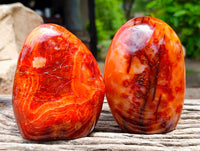 Polished Carnelian Agate Gemstone Standing Free Forms x 2 From Madagascar