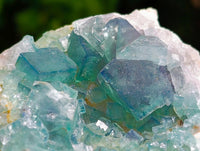 Natural Green Fluorite Cluster Specimens x 3 From Mandrosonoro, Madagascar